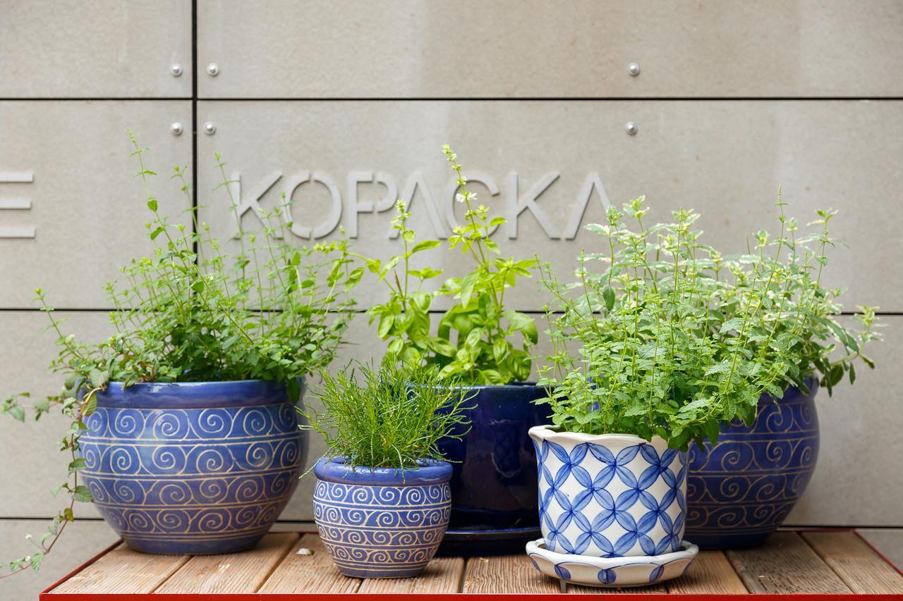 Lanškroun Hotel & Depandance Kopacka المظهر الخارجي الصورة